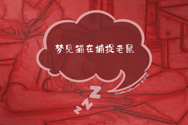 梦见猫在捕捉老鼠