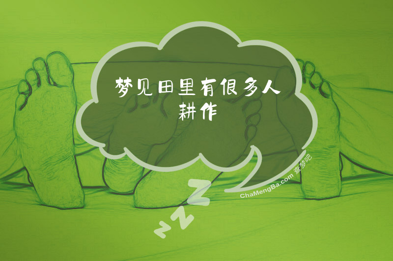 梦见田里有很多人耕作