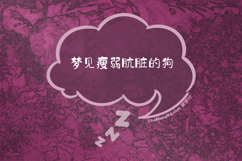 梦见瘦弱肮脏的狗