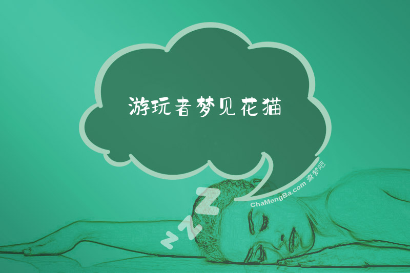 游玩者梦见花猫
