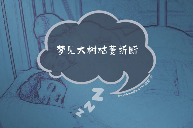 梦见大树枯萎折断