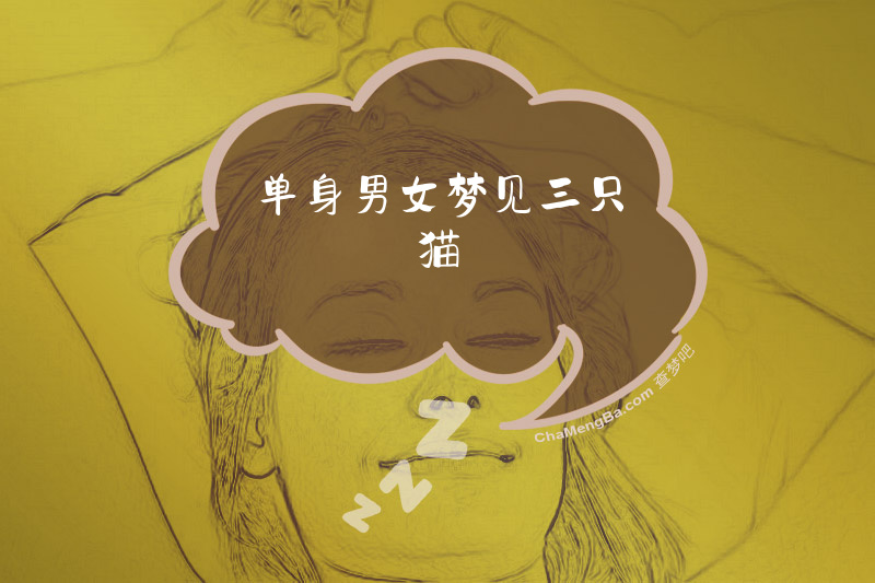 单身男女梦见三只猫