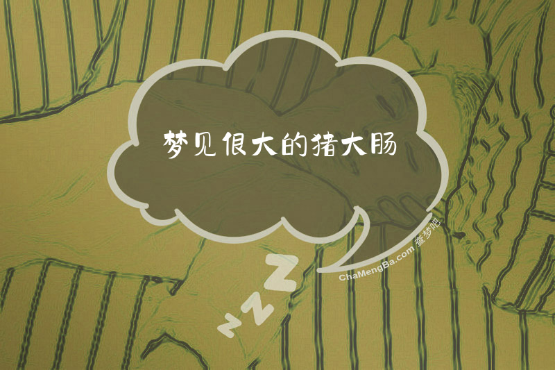 梦见很大的猪大肠