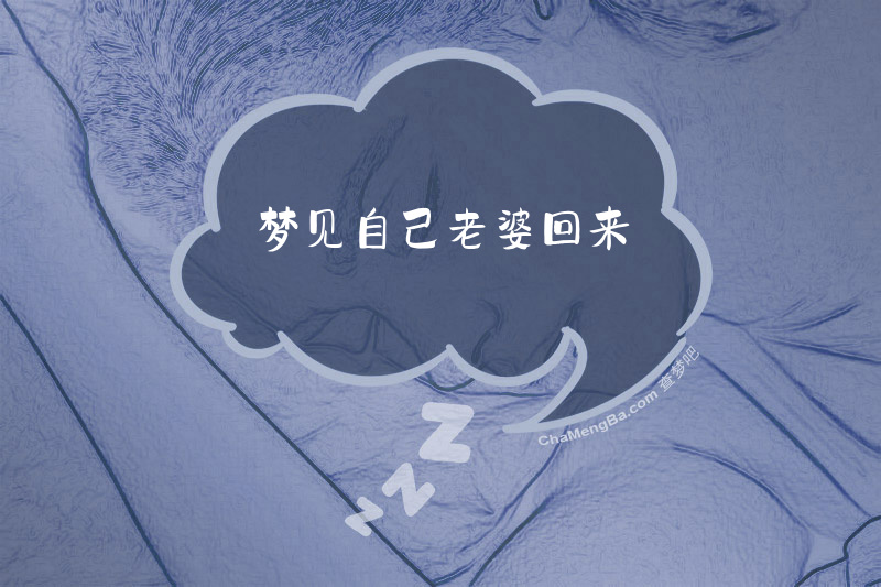 梦见自己老婆回来