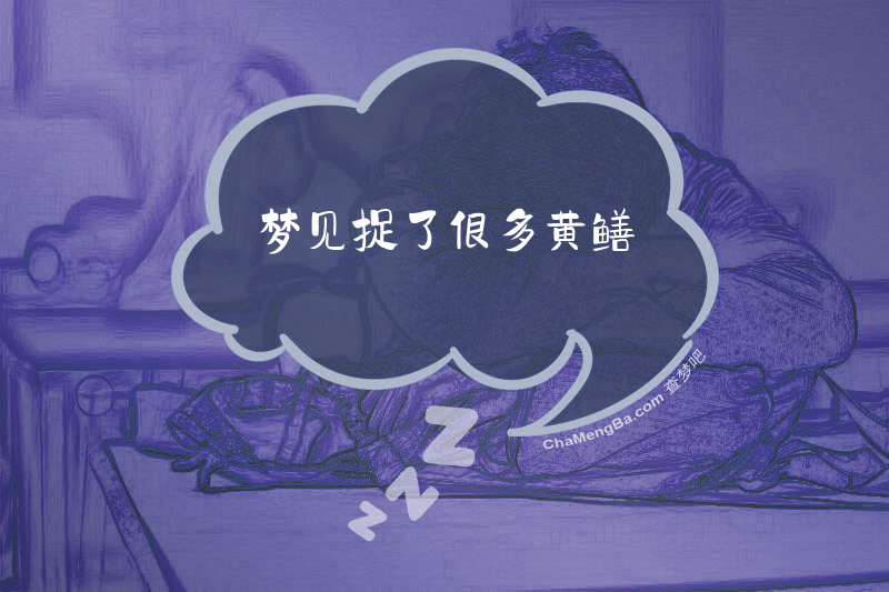 梦见捉了很多黄鳝