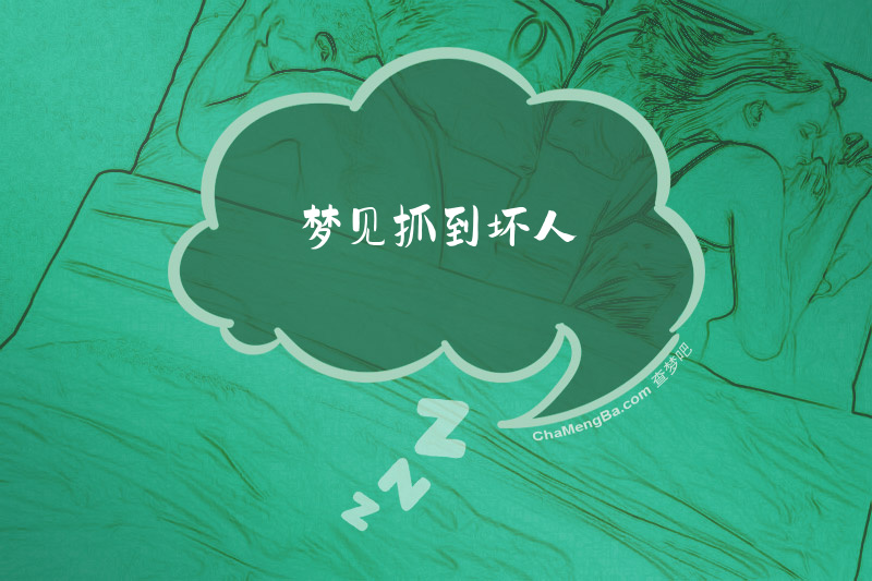 梦见抓到坏人