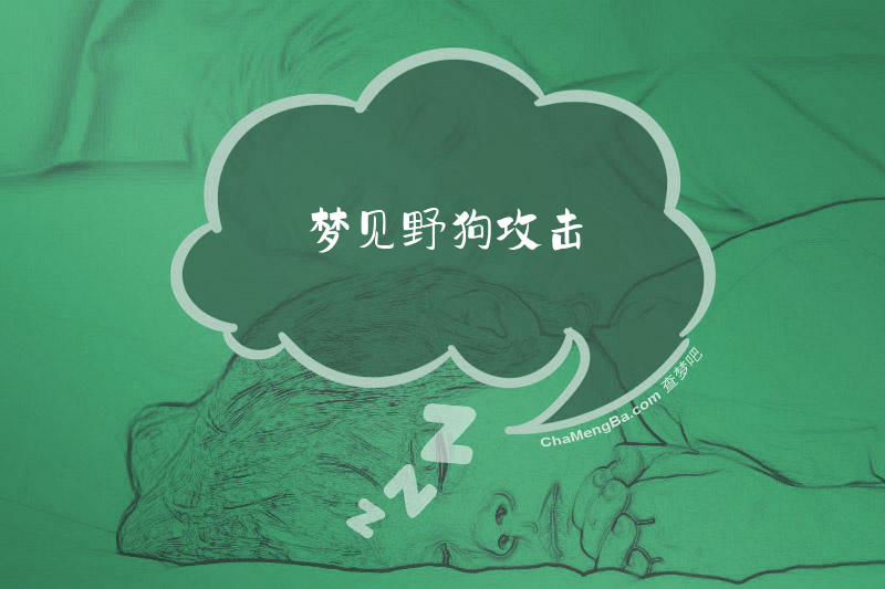 梦见野狗攻击