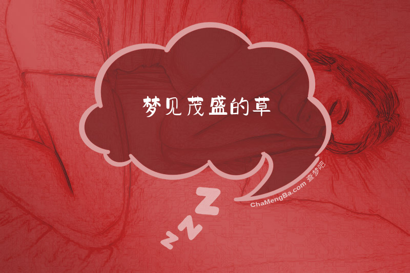 梦见茂盛的草