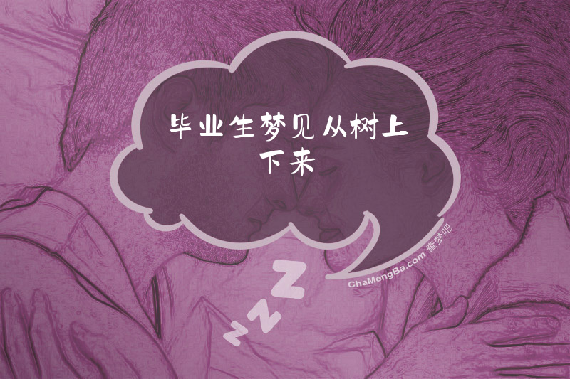 毕业生梦见从树上下来