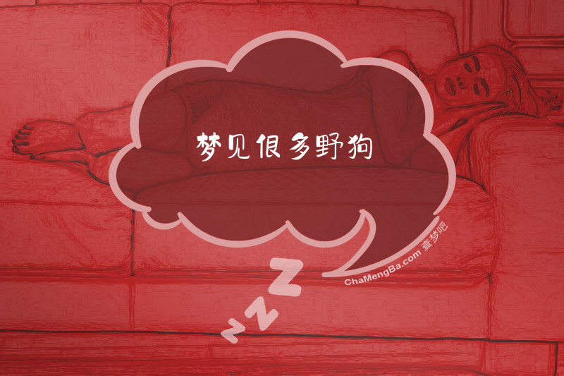 梦见很多野狗