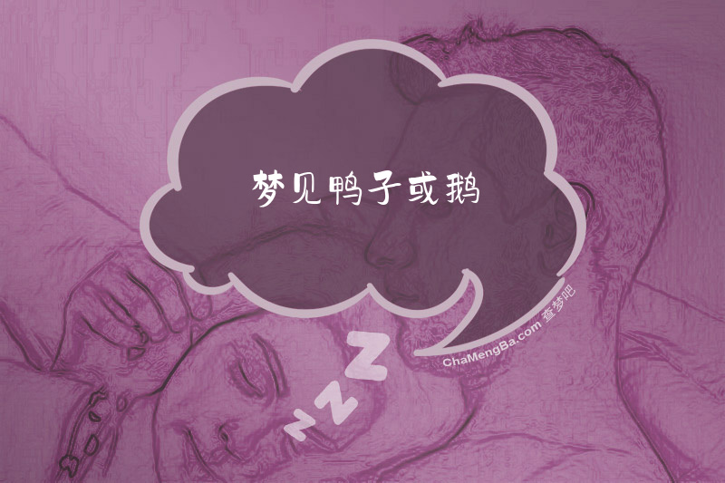梦见鸭子或鹅