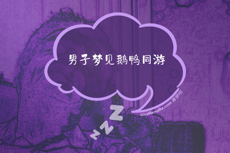 男子梦见鹅鸭同游