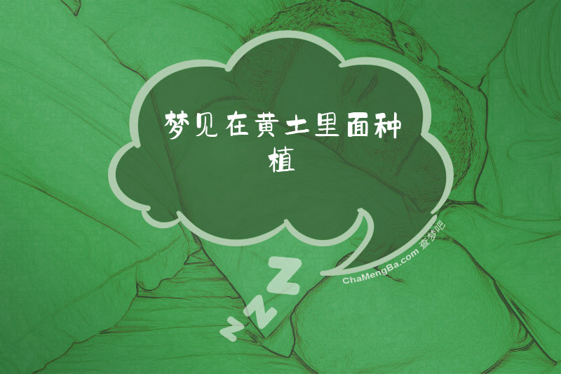 梦见在黄土里面种植