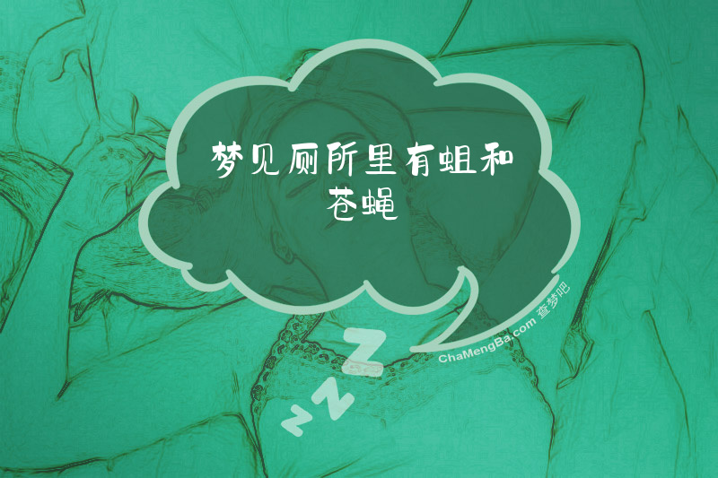梦见厕所里有蛆和苍蝇