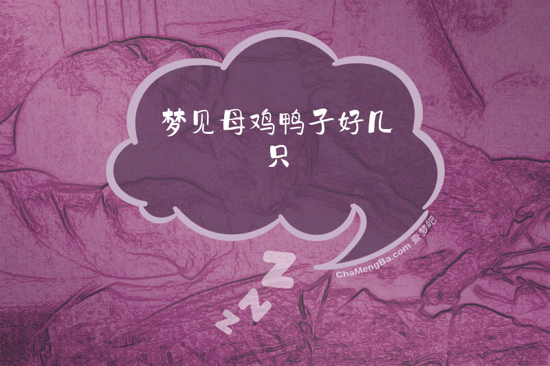 梦见母鸡鸭子好几只