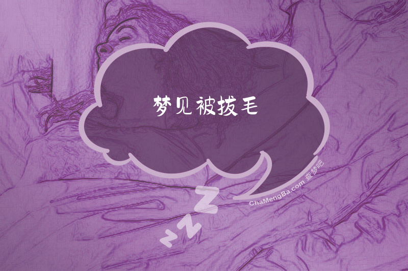 梦见被拔毛