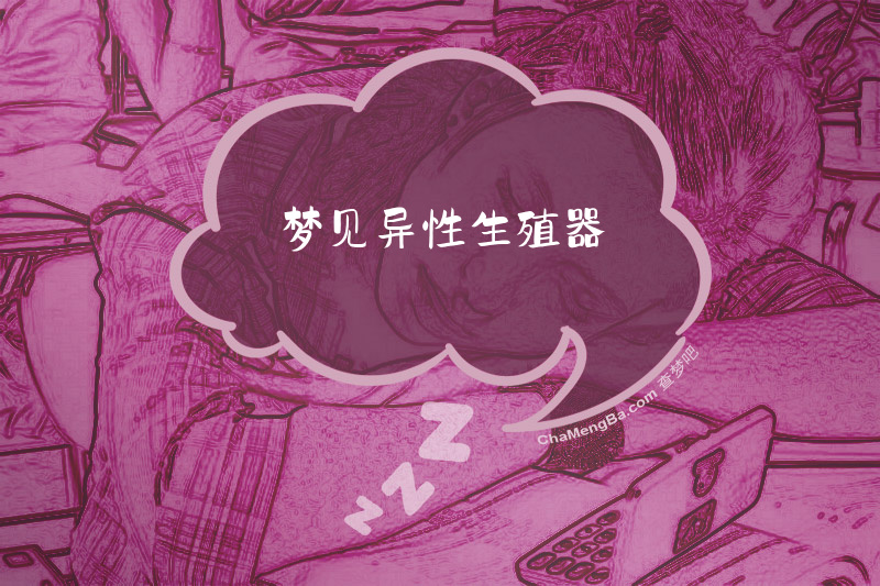 梦见异性生殖器
