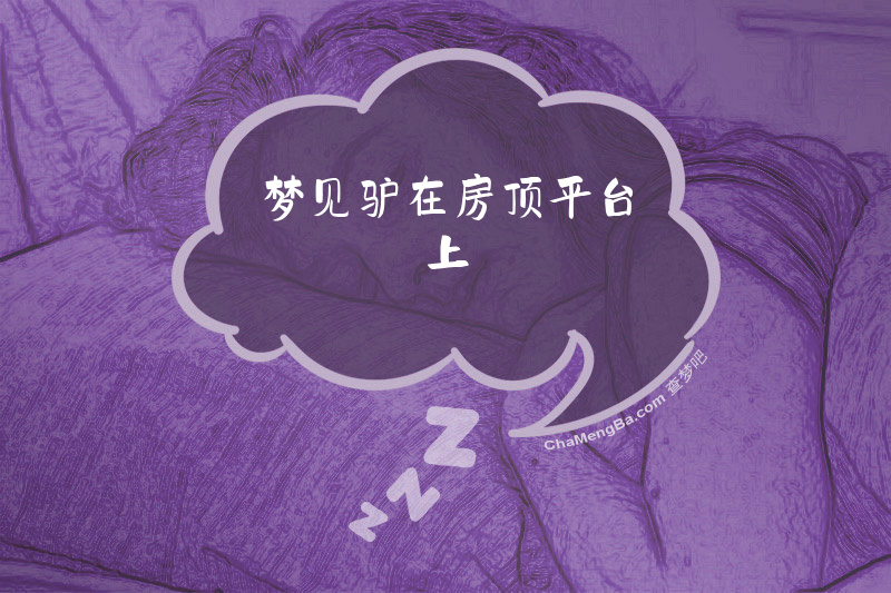 梦见驴在房顶平台上