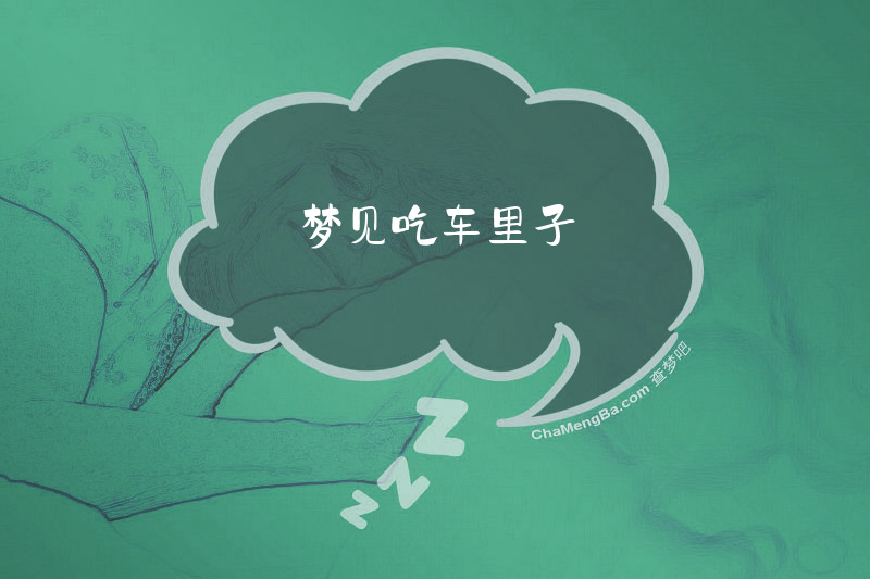 梦见吃车里子