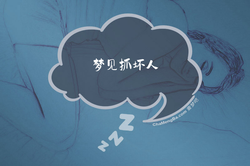 梦见抓坏人