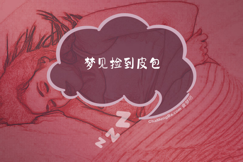 梦见捡到皮包
