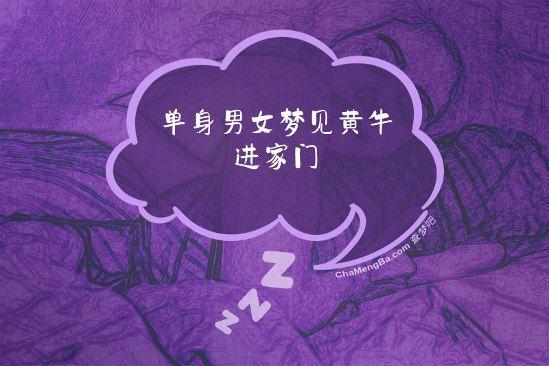 单身男女梦见黄牛进家门