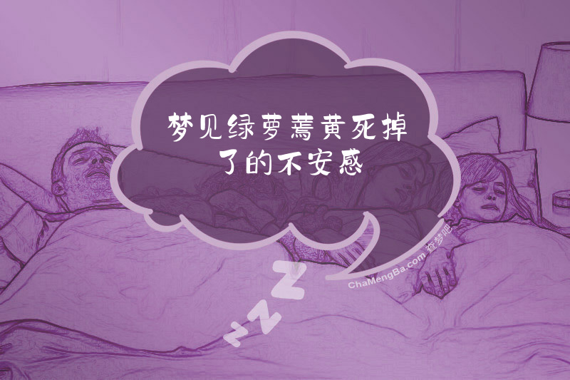 梦见绿萝蔫黄死掉了的不安感