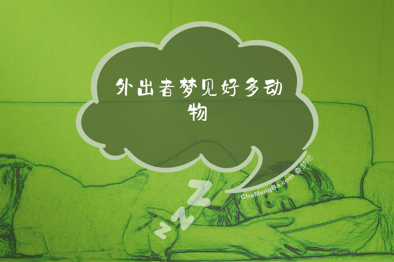 外出者梦见好多动物