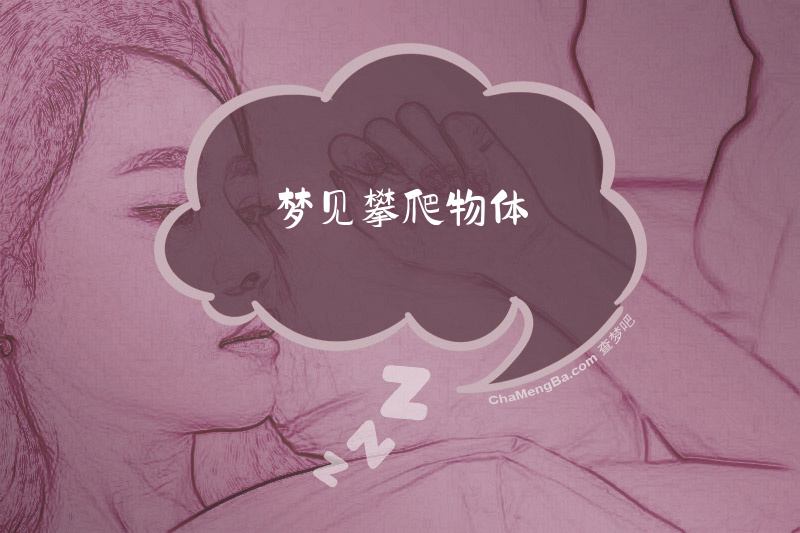 梦见攀爬物体