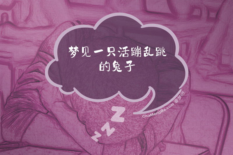 梦见一只活蹦乱跳的兔子