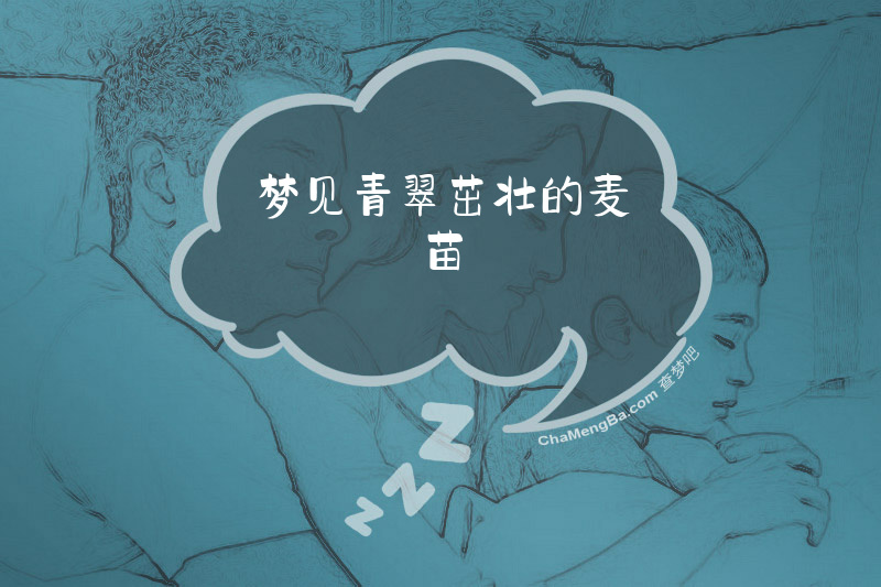 梦见青翠茁壮的麦苗