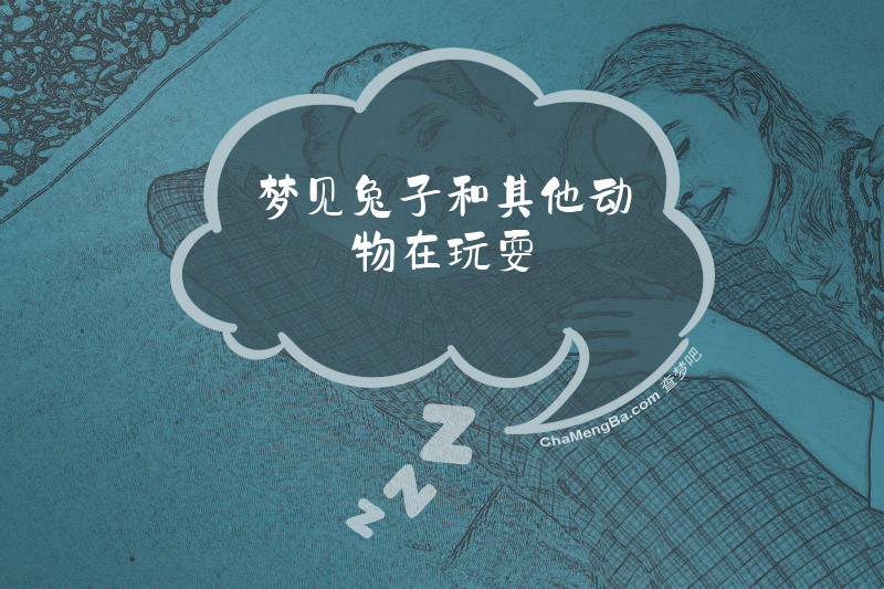 梦见兔子和其他动物在玩耍