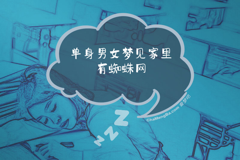 单身男女梦见家里有蜘蛛网