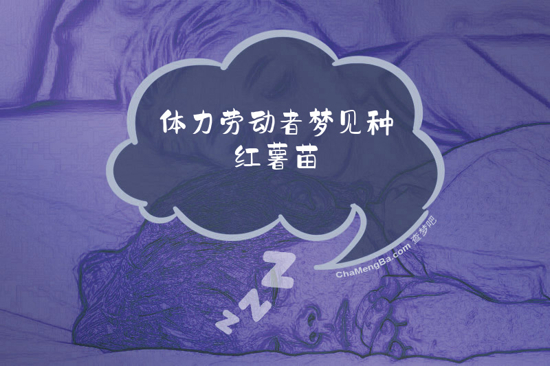 体力劳动者梦见种红薯苗