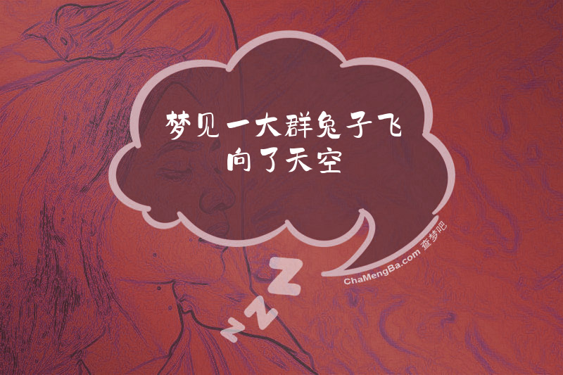 梦见一大群兔子飞向了天空