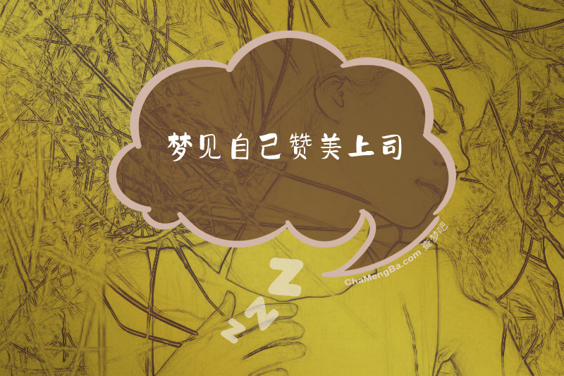 梦见自己赞美上司
