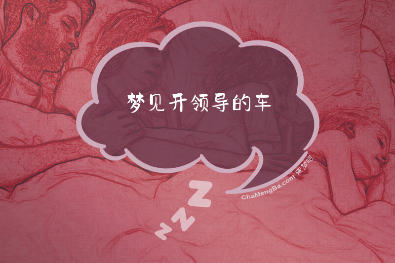 梦见开领导的车