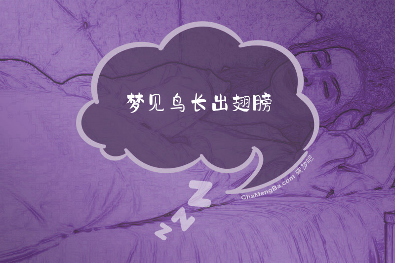 梦见鸟长出翅膀