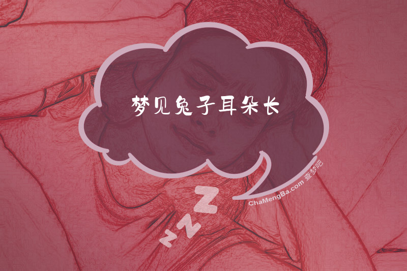 梦见兔子耳朵长