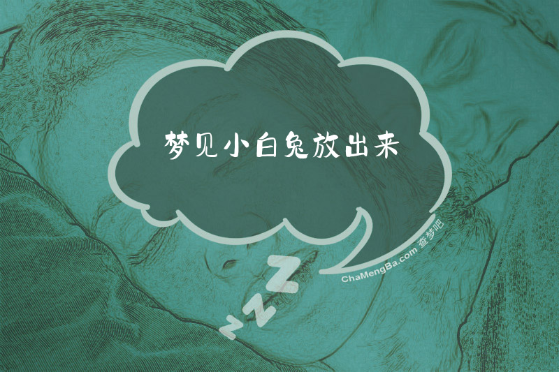 梦见小白兔放出来