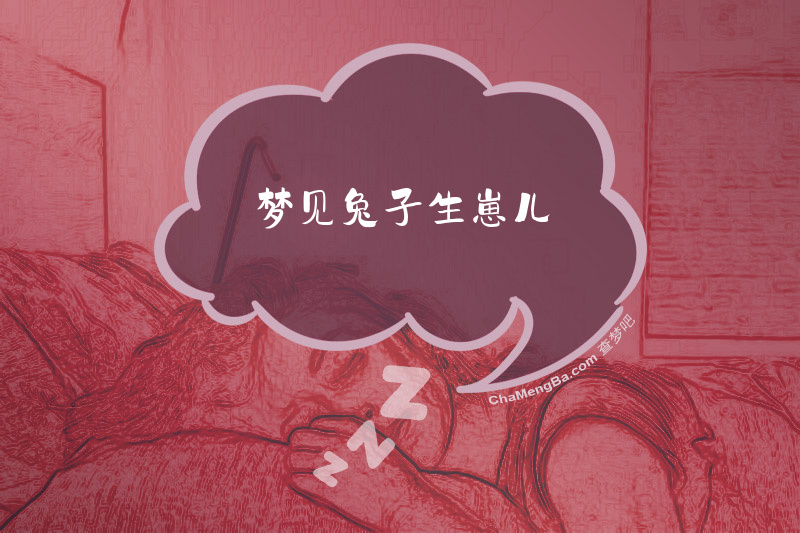 梦见兔子生崽儿