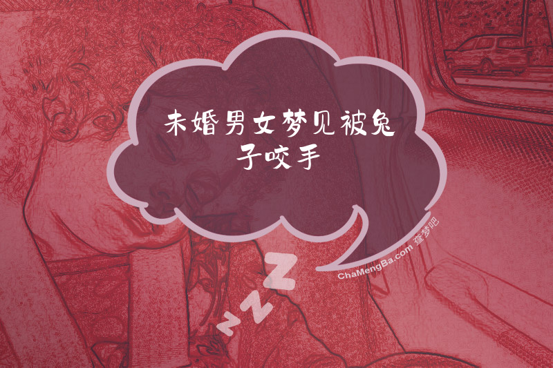未婚男女梦见被兔子咬手