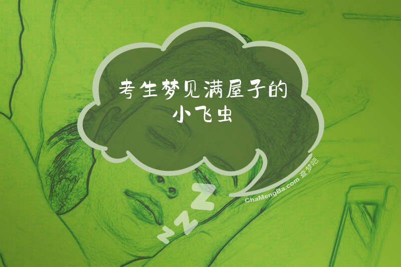 考生梦见满屋子的小飞虫