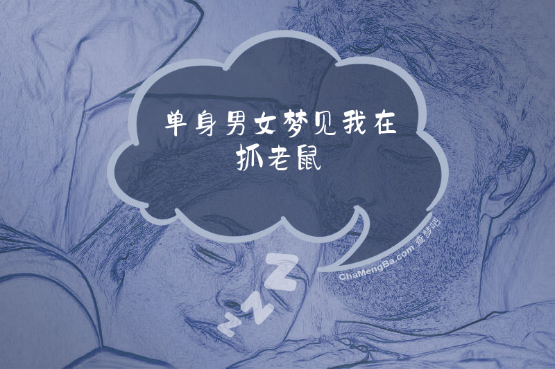 单身男女梦见我在抓老鼠