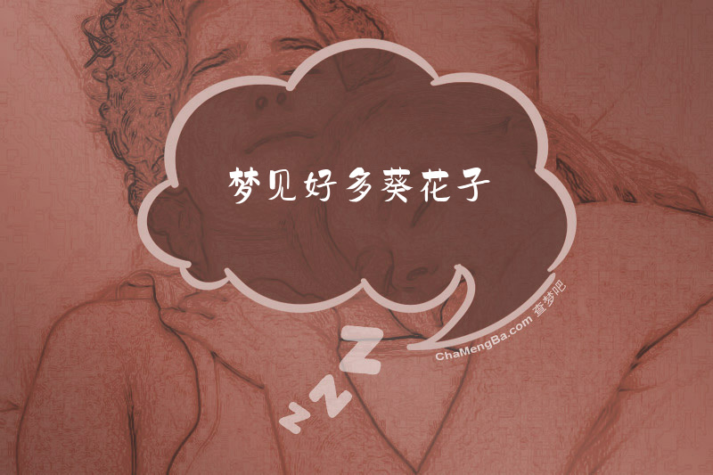 梦见好多葵花子