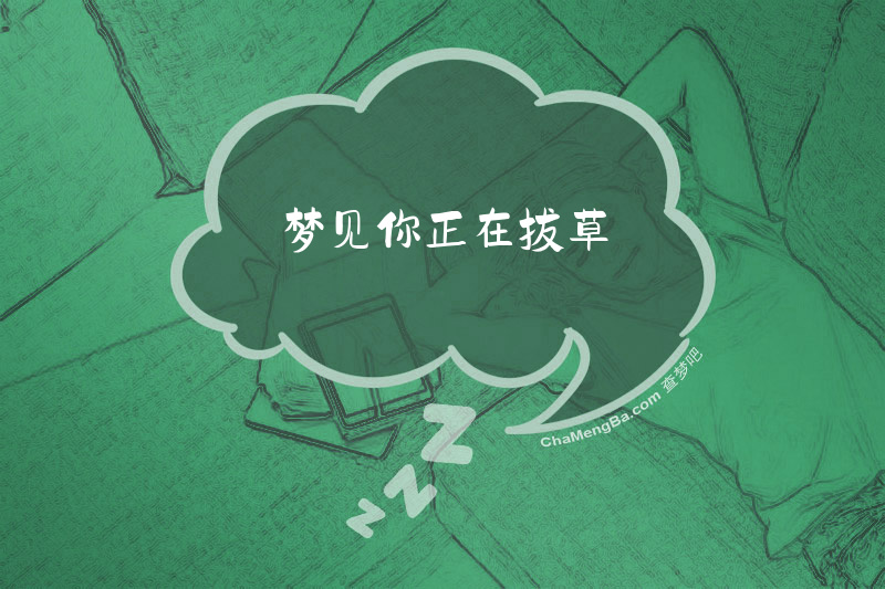 梦见你正在拔草