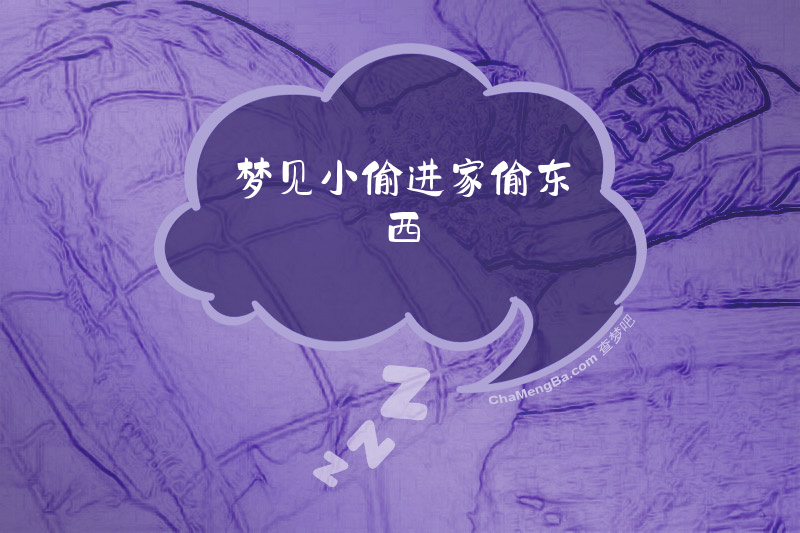 梦见小偷进家偷东西