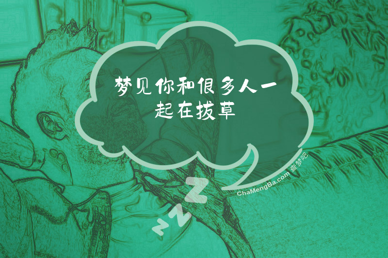 梦见你和很多人一起在拔草