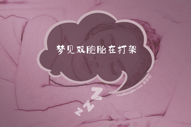梦见双胞胎在打架