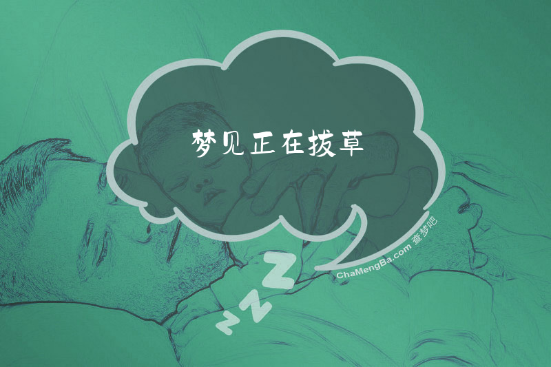 梦见正在拔草
